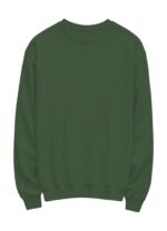 Plain Sweat Shirt - Image 4